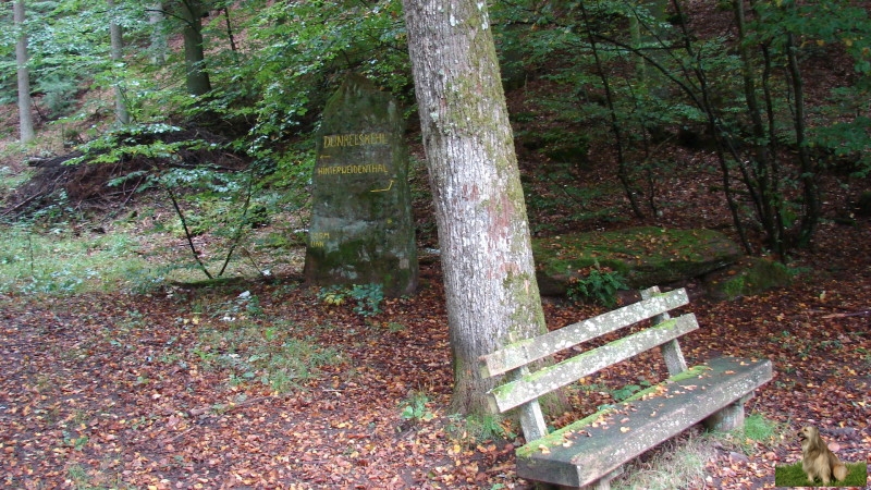 Ritterstein Nr. 216-5 Dunkelskehl Hinterweidenthal 208 M ÜNN.JPG - Ritterstein Nr.216 Dunkelskehl 208 M üNN